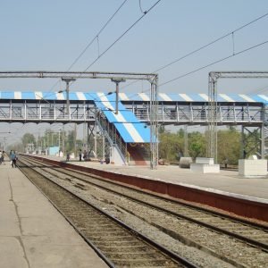 DSC00533 2